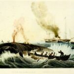 Leyendas japonesas | Explorando las leyendas japonesas: Recorriendo sus regiones Explora los misterios del mar y los barcos en las leyendas japonesas