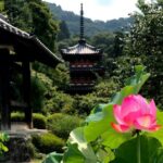 Leyendas japonesas | Deidades de la mitología japonesa: Dioses y diosas principales Los secretos del monte Fuji: Mitos de los dioses